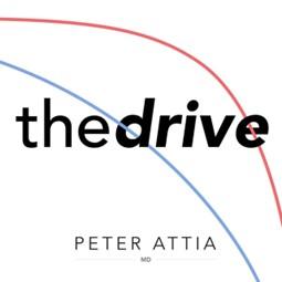 TheDrive